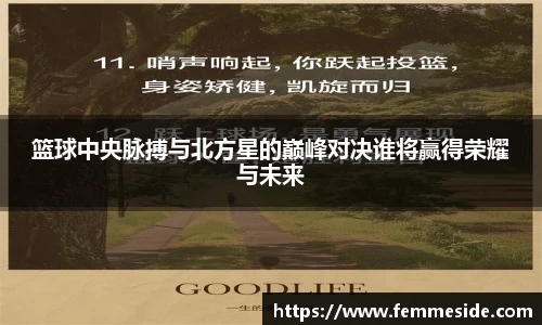 篮球中央脉搏与北方星的巅峰对决谁将赢得荣耀与未来