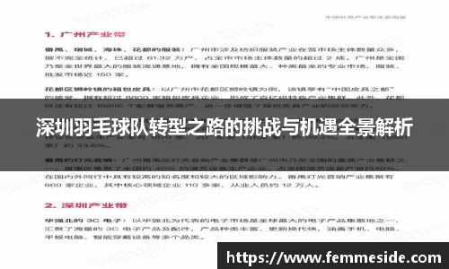 深圳羽毛球队转型之路的挑战与机遇全景解析