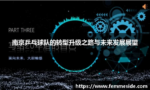 南京乒乓球队的转型升级之路与未来发展展望