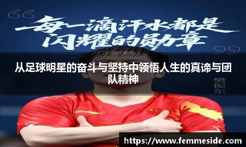 从足球明星的奋斗与坚持中领悟人生的真谛与团队精神